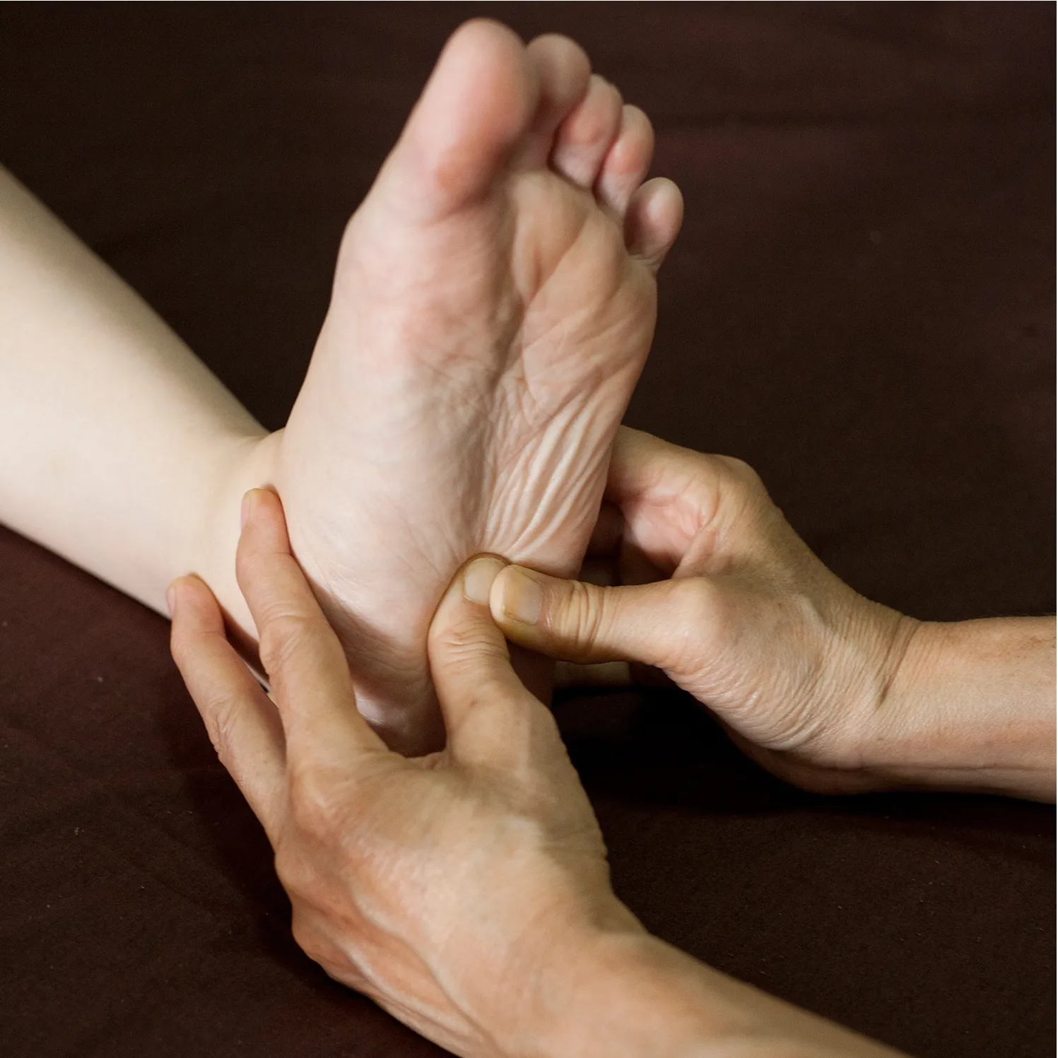 24 CE FL LMT Hybrid Renewal Package LIVE IN-PERSON 12 CE Hour Active Assisted LOWER Body Stretching (AAS) & Advanced Medical Foot Massage   12 CE Self-paced Home Study