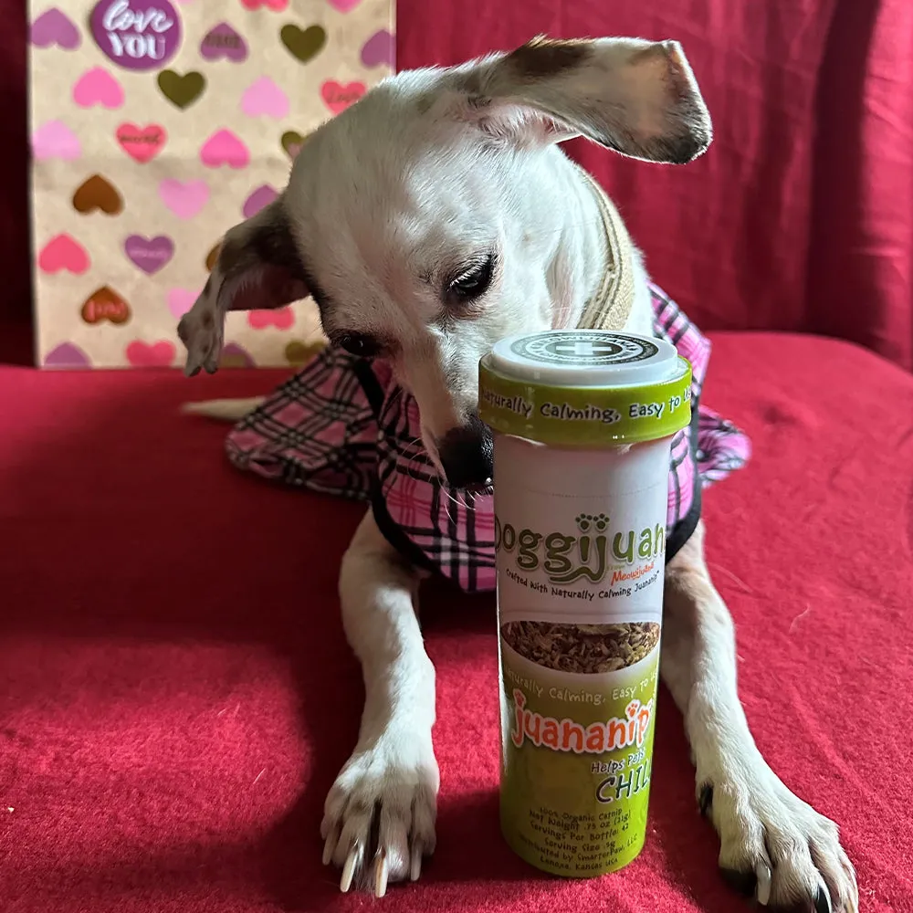 Doggijuana Juananip Refill Bottle by SmarterPaw