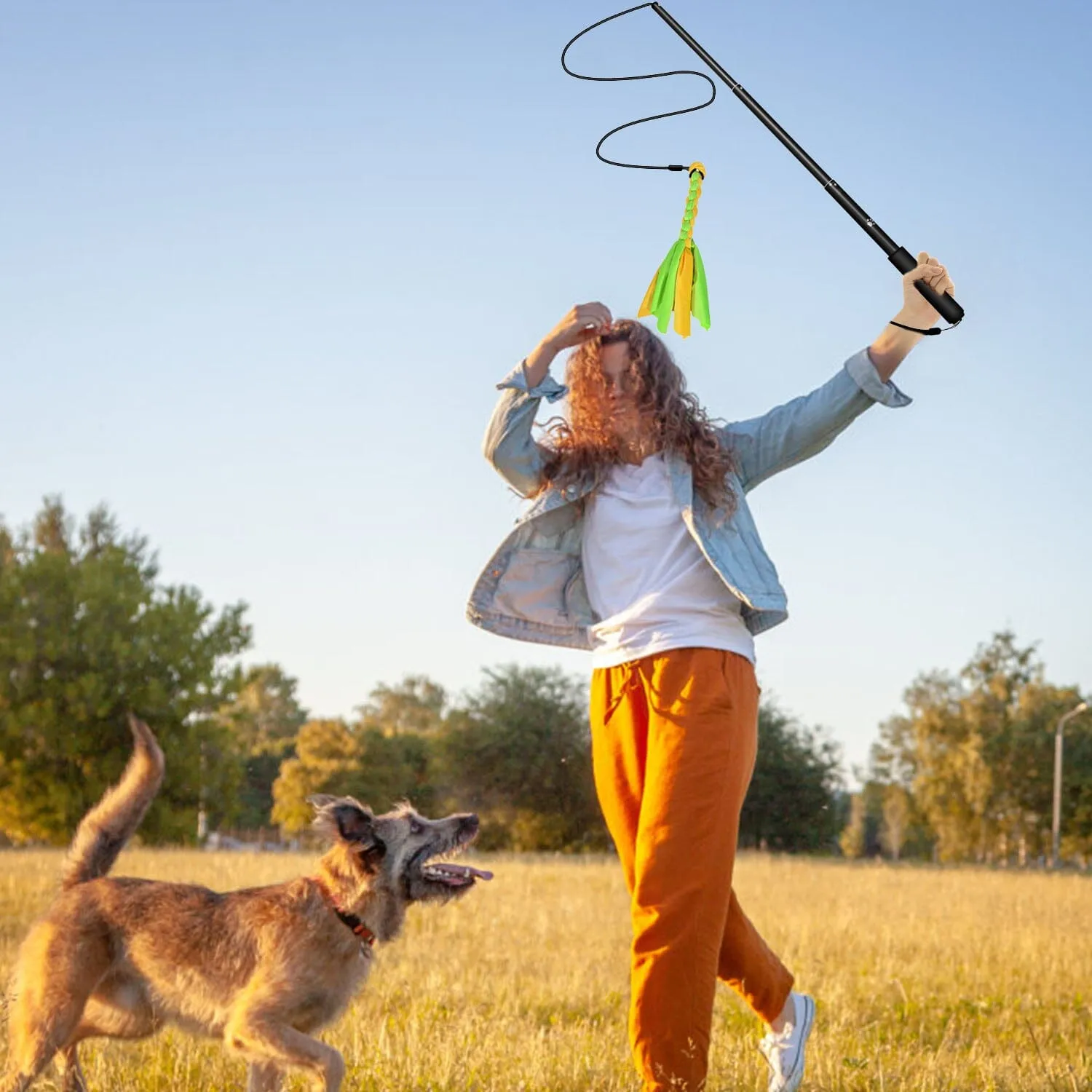Extendable Dog Flirt Pole with 2 Replaceable Interactive Tail Toys