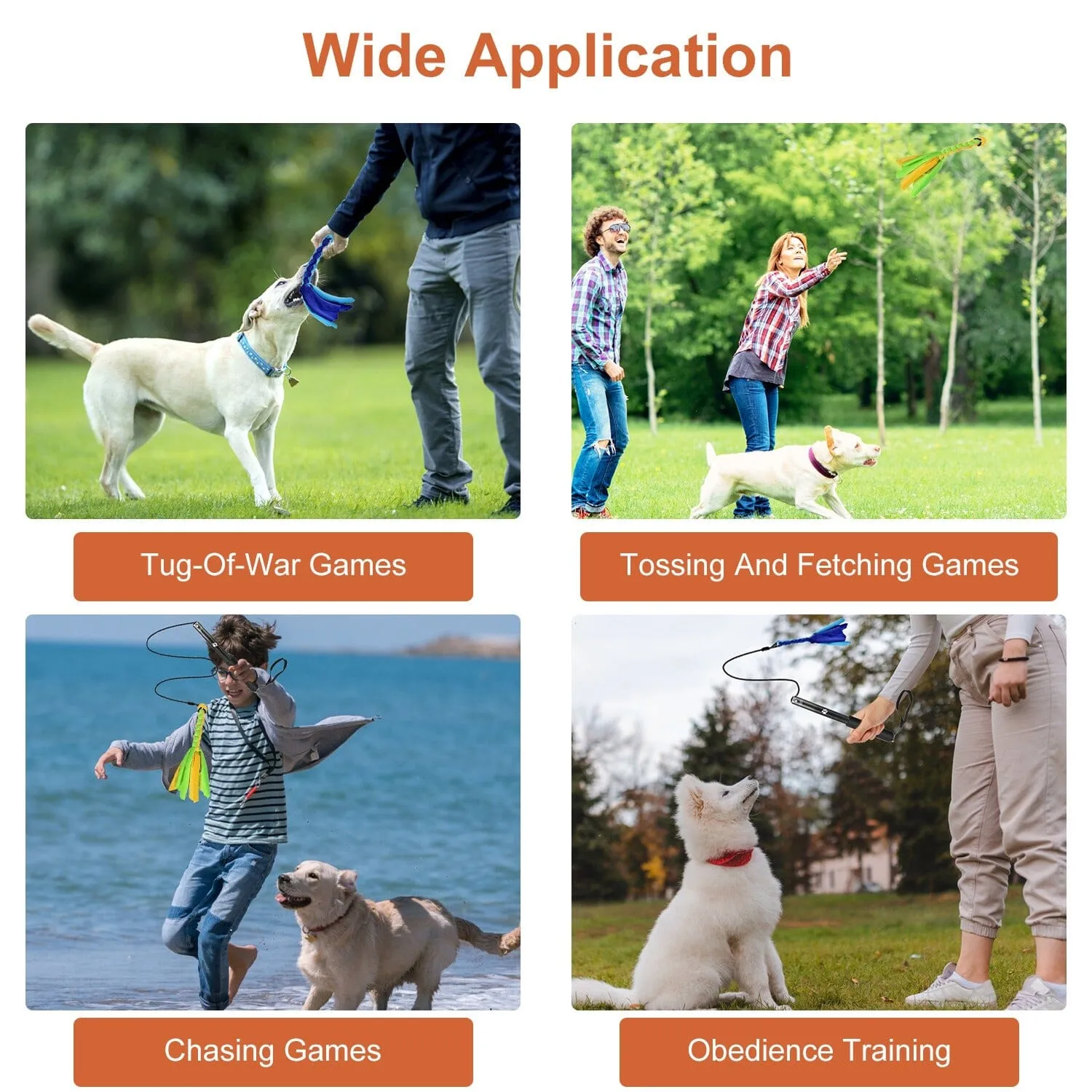 Extendable Dog Flirt Pole with 2 Replaceable Interactive Tail Toys