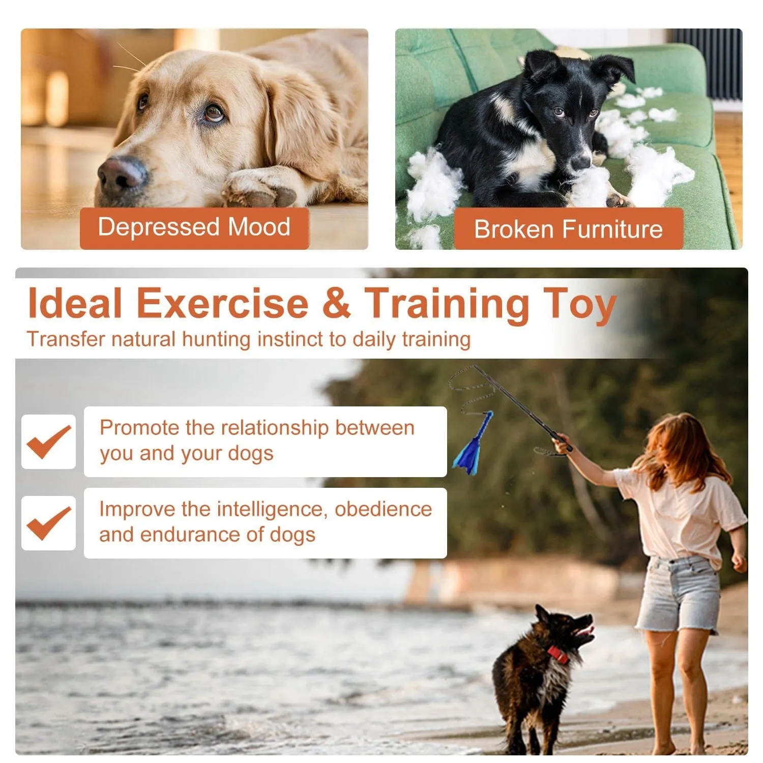 Extendable Dog Flirt Pole with 2 Replaceable Interactive Tail Toys
