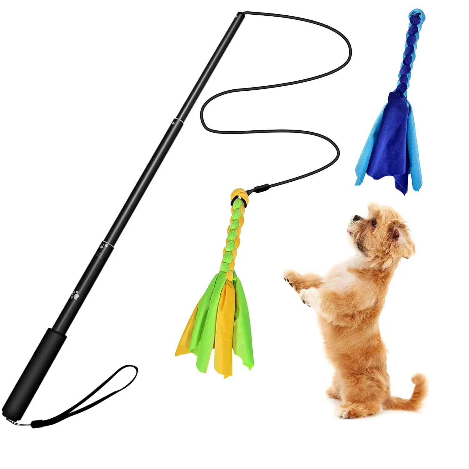 Extendable Dog Flirt Pole with 2 Replaceable Interactive Tail Toys