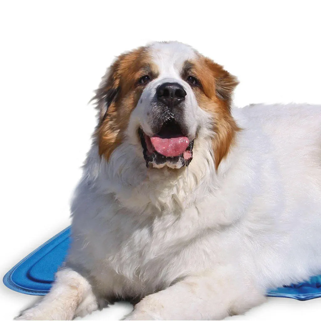 The Green Pet Shop Cool Pet Pad